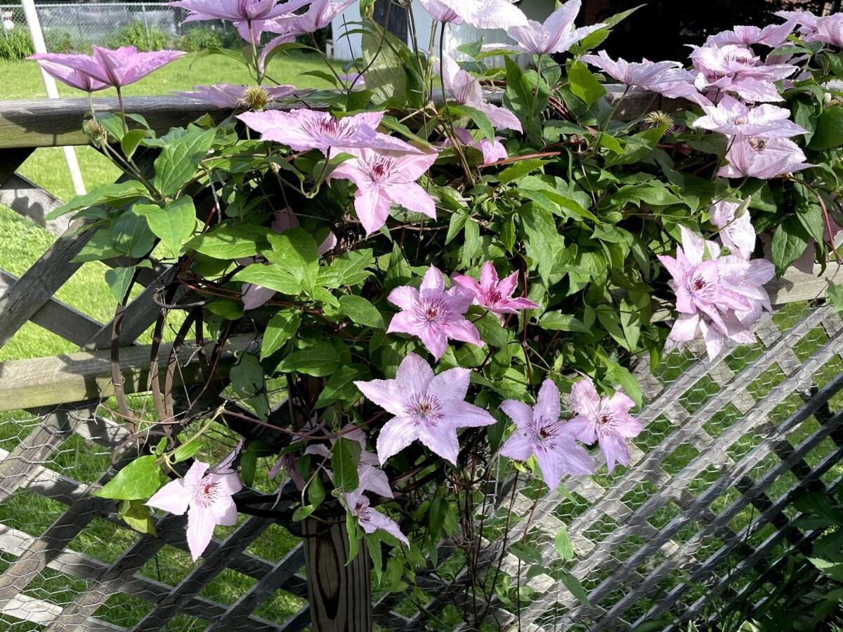 Schaumburg Paradise Oasis With A Secret Garden And Private Pool ภายนอก รูปภาพ