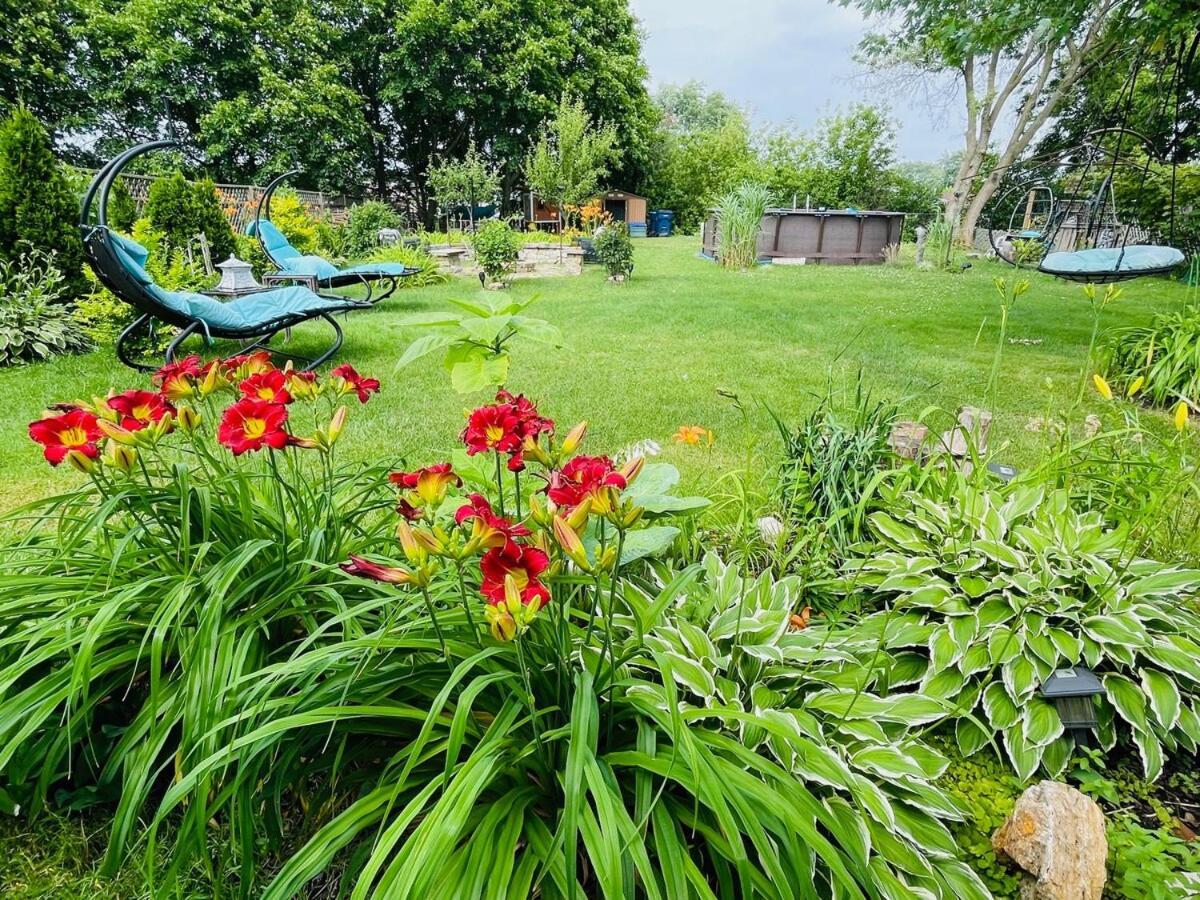 Schaumburg Paradise Oasis With A Secret Garden And Private Pool ภายนอก รูปภาพ